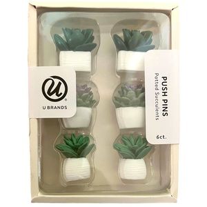 Potted Succulent Push Pins (set of 6)